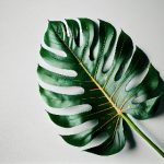 亚洲综合缴情综小说 20etxklh7