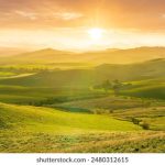 亚洲美洲日产在线综合 aaq1h7h