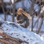 亚洲自偷自偷照片 kg20f6ead