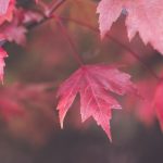 如何应对生活中的‘phubbing’现象,重拾人与人之间的真实连接 159rynrp6