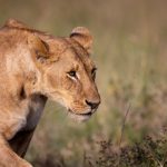 娱乐圈黑料爆料知乎:揭开明星背后的不为人知的秘密与丑闻 24v1lz71e