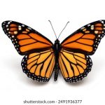 库迪咖啡加盟官网:开启你的创业之旅,轻松实现财富梦想 5r1v5