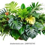 小电影免费在线观看:畅享精彩短片,尽在指尖轻松观看! hbb5jxt