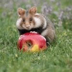 小电影在线观看网站天堂:畅享高清电影,随时随地轻松观影体验 j71dp0