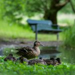 天涯pro官网色板:探索色彩的无限可能与创意应用 m53sk3c02e