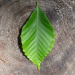 探索18comic:年轻人心中的漫画世界与文化 ku9x4h