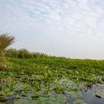 探索18人口工彩画的艺术魅力与文化内涵 xpt9z38y